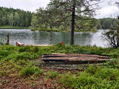 den gamla båten